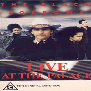 The Black Sorrows - Live At The Palace mp3 album