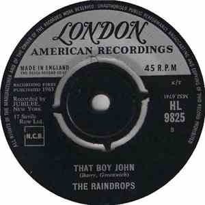 The Raindrops - That Boy John / Hanky Panky mp3 album