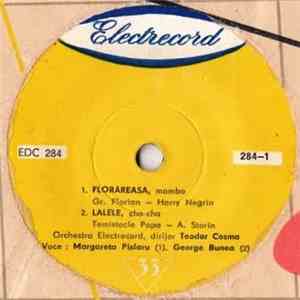 Various - Florăreasa / Lalele / Albăstrele / Toate Florile mp3 album