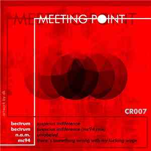 Various - Meeting Point mp3 album