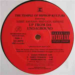 Various - Up From Da Undaground / We Gon' Ride mp3 album