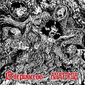 Anatomia / Bilepuscess - Anatomia / Bilepuscess mp3 album