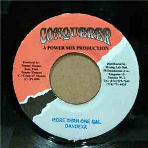 Dandexx - More Than One Gal mp3 album