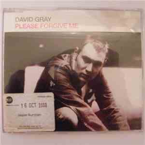 David Gray - Please Forgive Me mp3 album