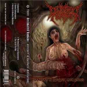 Decimated Humans - Overture In Barbaric Mutilations mp3 album
