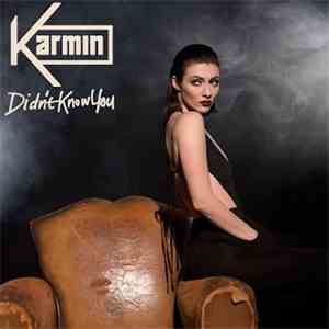 Karmin - Didn't Know You mp3 album