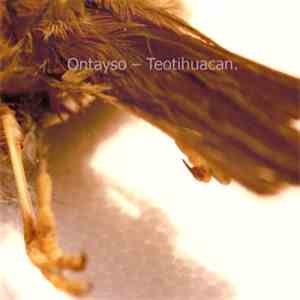 Ontayso - Teotihuacan. mp3 album