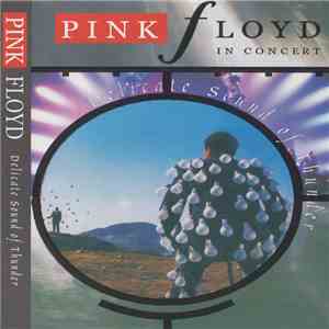 Pink Floyd - In Concert - Delicate Sound Of Thunder mp3 album
