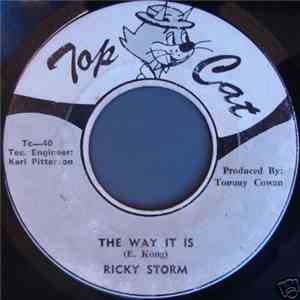 Ricky Storm - The Way It Is mp3 album