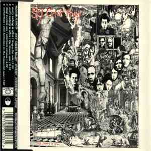 Sky Cries Mary - Every Iceberg Is Afire mp3 album