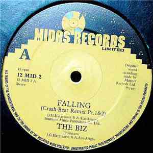 The Biz - Falling mp3 album