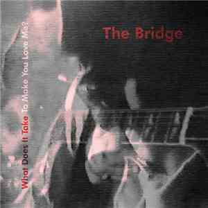 The Bridge - What Does It Take To Make You Love Me? mp3 album