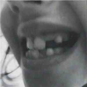 The English Teeth  - The English Teeth mp3 album