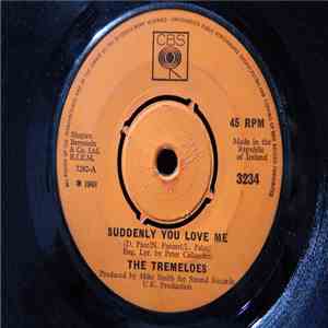 The Tremeloes - Suddenly You Love Me / As You Are mp3 album