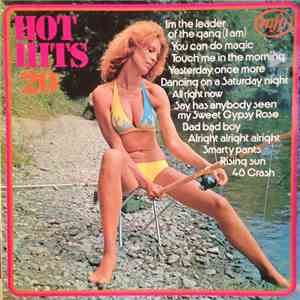 Unknown Artist - Hot Hits 20 mp3 album