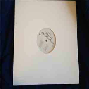Alex G  - Live At The Headroom mp3 album
