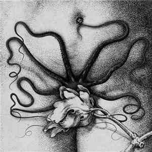 Biche, Organon  - Biche / Organon mp3 album