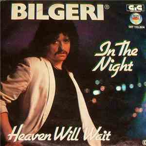 Bilgeri - In The Night / Heaven Will Wait mp3 album