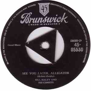 Bill Haley And His Comets - See You Later, Alligator mp3 album