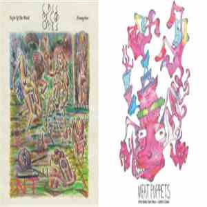 Cass McCombs Vs. Meat Puppets - Tour Single mp3 album