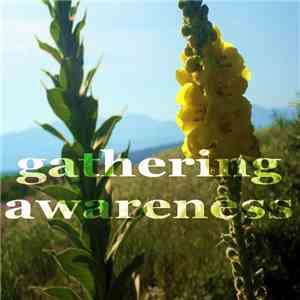 Feeling - Gathering Awareness mp3 album