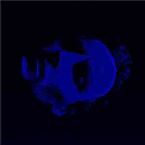 Fern  - Fern mp3 album