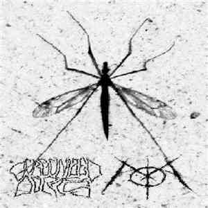 Gorgonized Dorks / xAOAx - Gorgonized Dorks / xAOAx mp3 album