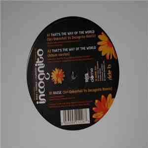 Incognito - That's The Way Of The World mp3 album