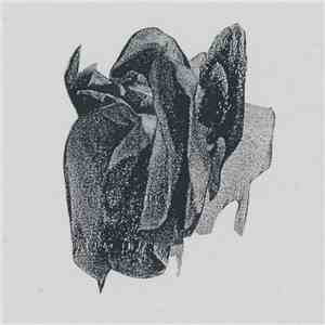 Invisible Church - Moths mp3 album