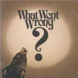 Ivan Campo - What Went Wrong? mp3 album