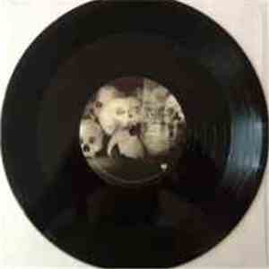 Jerry Joseph And The Jackmormons - Jerry Joseph And The Jackmormons mp3 album
