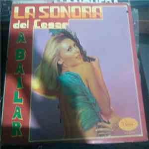 La Sonora Del Cesar - Abailar mp3 album