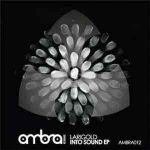 Larigold - Into Sound EP mp3 album