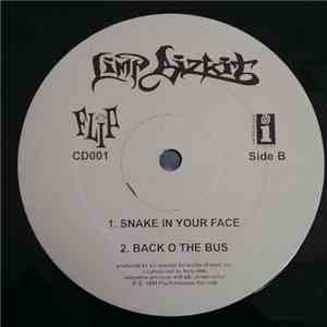 Limp Bizkit - My Generation (Album Sampler) mp3 album