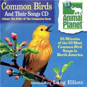 No Artist - Common Birds (And Their Songs) mp3 album