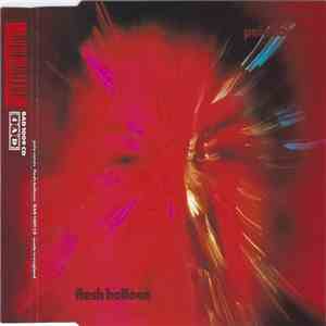 Pale Saints - Flesh Balloon mp3 album