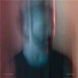 Peter Silberman - Impermanence mp3 album