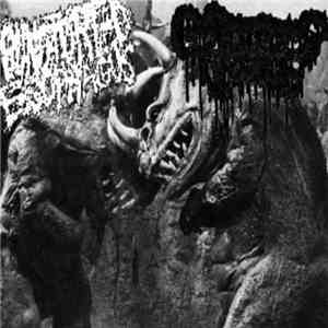 Punctured Esophagus, Cutaneous Horns - Punctured Esophagus/Cutaneous Horns split mp3 album