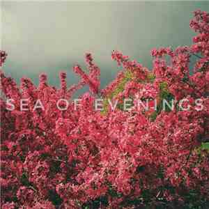Sea Of Evenings - We Try Again EP mp3 album