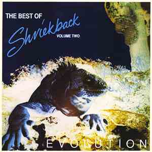 Shriekback - The Best Of Shriekback Volume Two: Evolution mp3 album