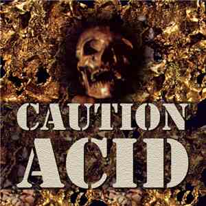 Stephen Ugo Rosin - Caution Acid mp3 album