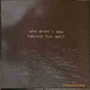 Synecdoche - Why Aren't You Having Fun Yet? mp3 album