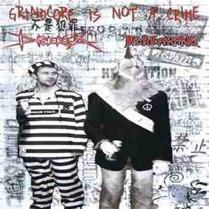 Terlarang / Diseksa - Grindcore Is Not A Crime mp3 album