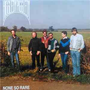 The Higgledy Piggledy Band - None So Rare mp3 album