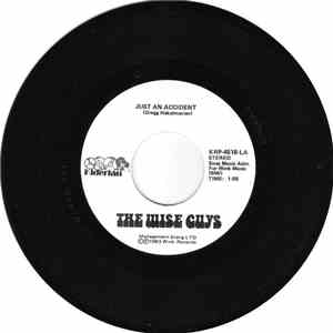 The Wise Guys - Just An Accident / Lady In My Eyes mp3 album