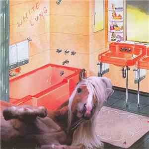 White Lung - Songs About The South mp3 album