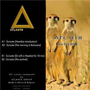 Atlante Group - The Suricate mp3 album