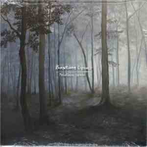 Bantam Lyons - Melatonin Spree mp3 album