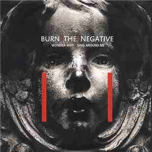 Burn The Negative - Wonder Why mp3 album