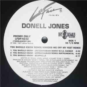 Donell Jones - You Should Know Remix / Knocks Me Off My Feet (Remix) mp3 album